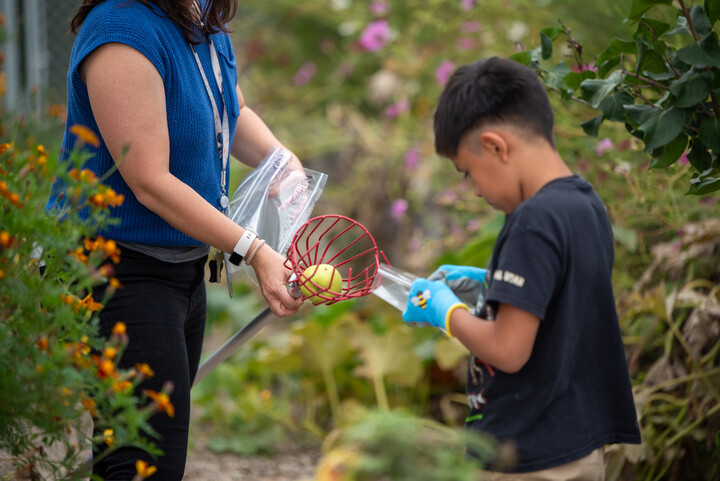 A woman hands a boy a red fruit picker with an apple while surrounded by colorful flowers in a garden.